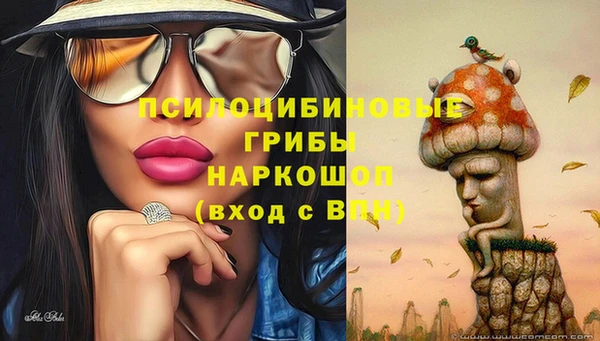 бошки Алексеевка