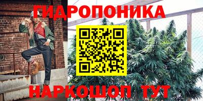 герыч Кингисепп
