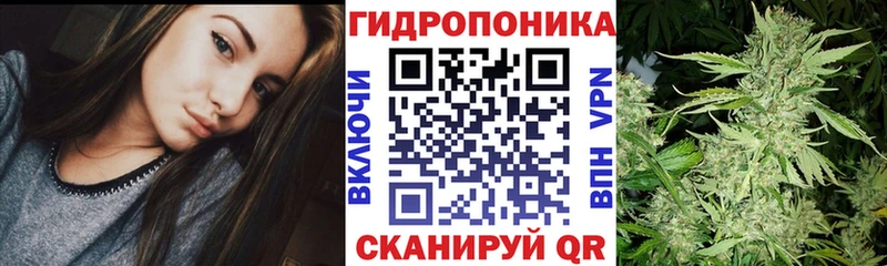 Марихуана Amnesia  где купить наркотик  Муравленко 